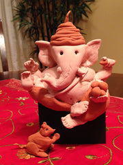 Ganesh 2014 Idol