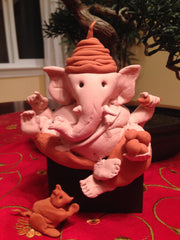 Ganesh 2014 Idol